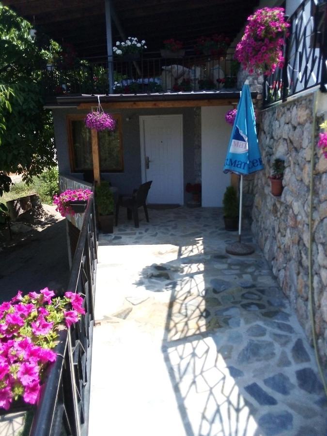 Guest House Stevovski Elshani Exterior photo
